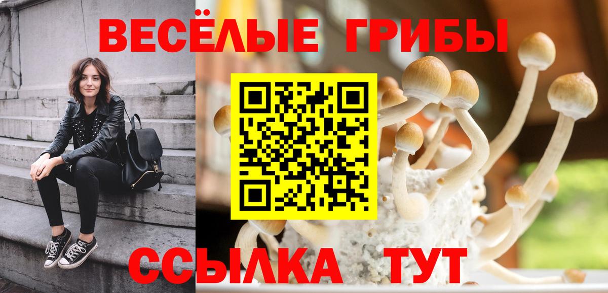 Галлюциногенные грибы MAGIC MUSHROOMS  хочу наркоту  Ялта  Вход с VPN 